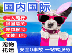 佛山空运公司国际宠物托运 【国